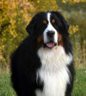 Wally2
